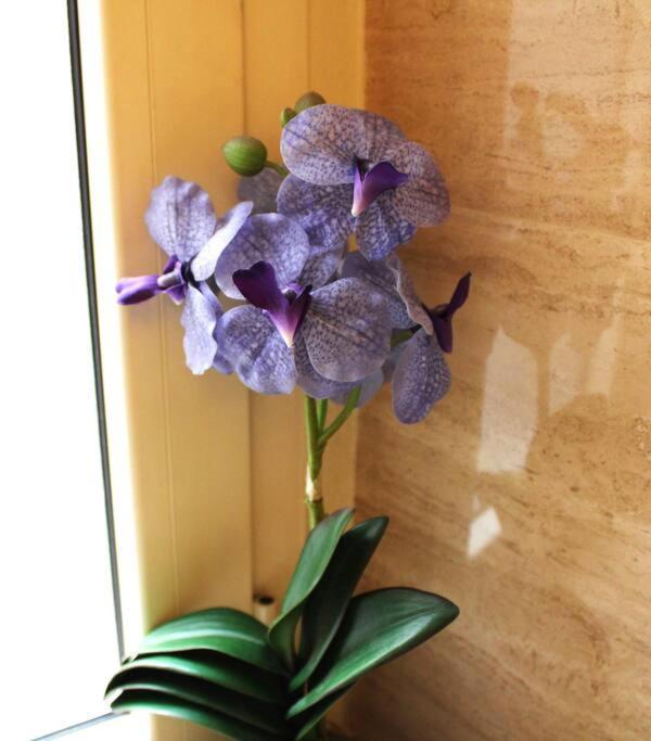 Easy Flat Appartement